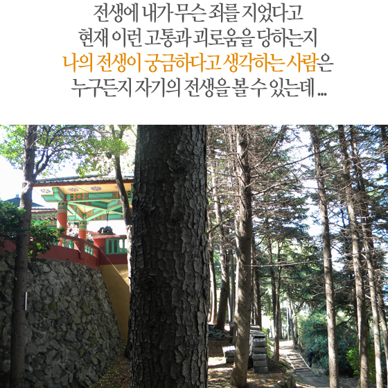 나의 전생이 궁금하다고 생각하는 사람은 누구든지 자기의 전생을 볼 수 있는데...