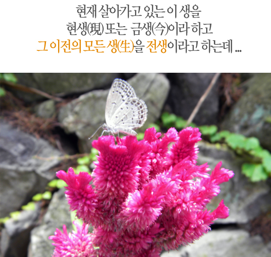 현재 살아가고 있는 이 생을 현생(現) 또는 금생(今)이라 하고 그 이전의 모든 생(生)을 전생이라고 하는데...