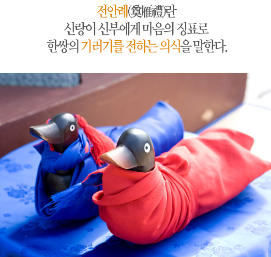 전안례(奠雁禮)란 신랑이 신부에게 마음의 징표로 한 쌍의 기러기를 전하는 의식을 말한다. 